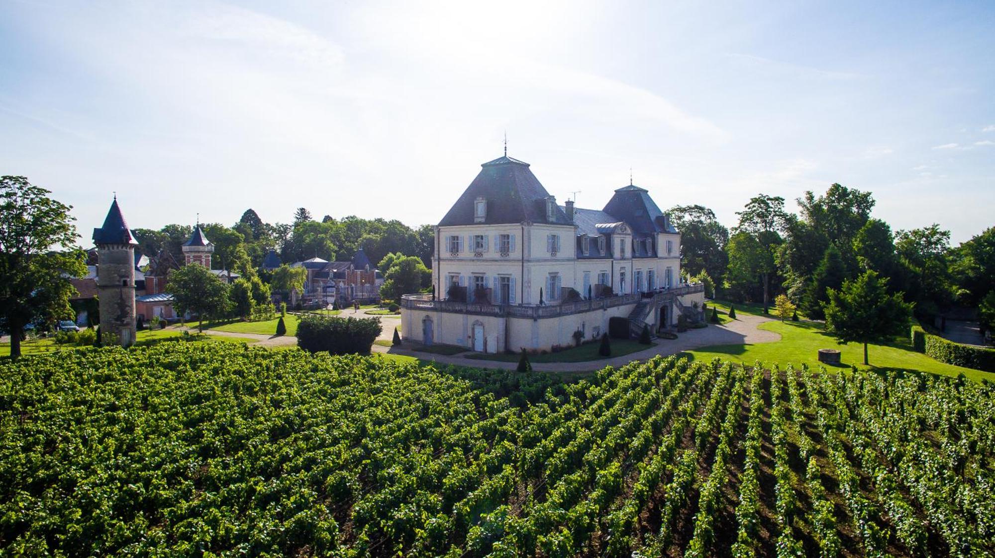 Chateau & Spa De La Cueillette Meursault Kültér fotó