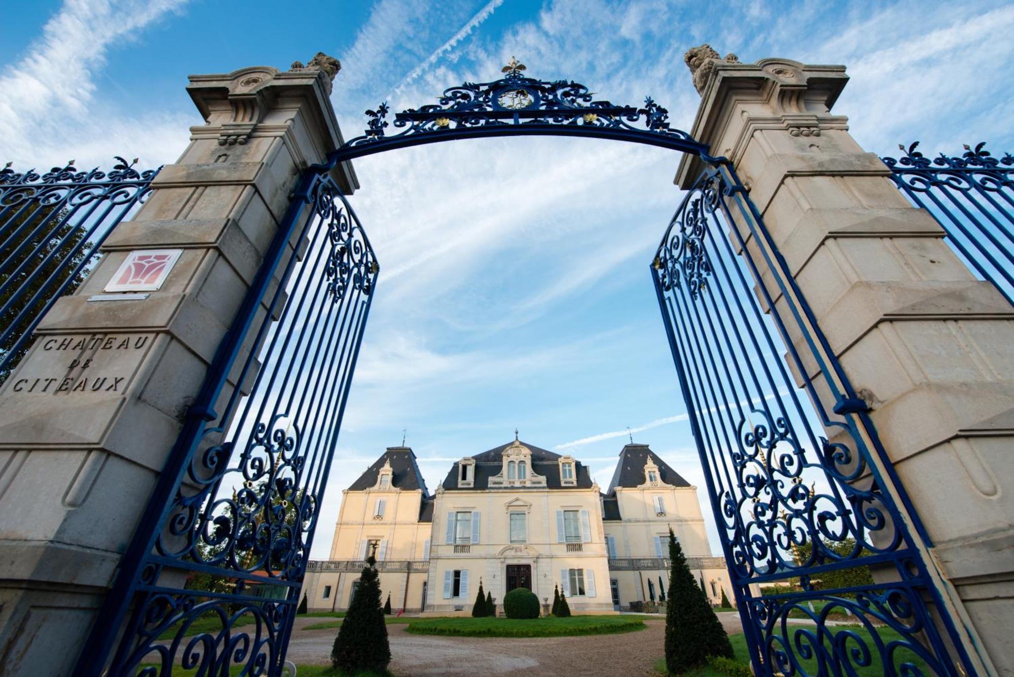 Chateau & Spa De La Cueillette Meursault Kültér fotó