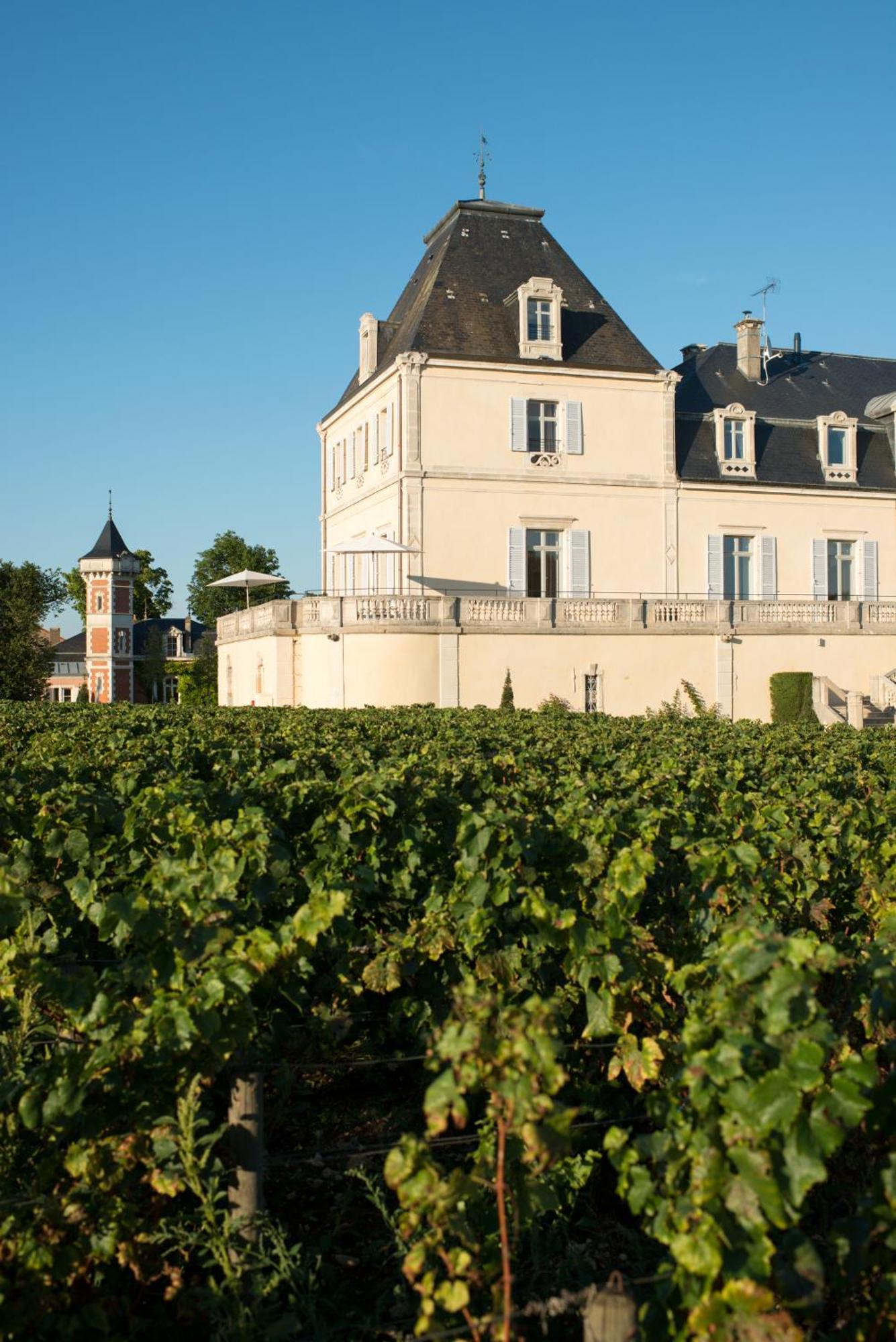 Chateau & Spa De La Cueillette Meursault Kültér fotó