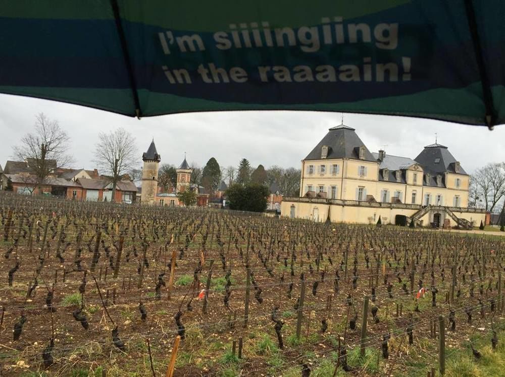 Chateau & Spa De La Cueillette Meursault Kültér fotó